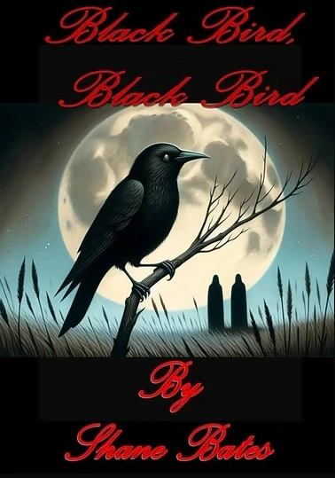 Black Bird, Black Bird by Shane Bates — book cover